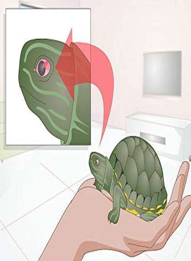 رعاية الحيوانات الأليفة الدولية قطرة عين السلاحف من شركة Pet Care International (PCI) لعلاج تورم والتهاب وإصابة عيون السلاحف السليمة (30 مل) - Image 4